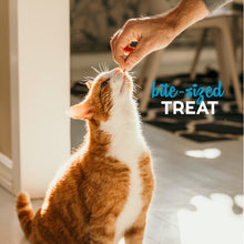 Load image into Gallery viewer, Buddy Biscuits Grain Free Tempting Tuna Cat Treats