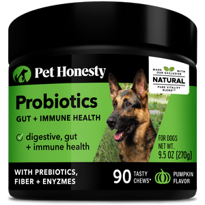 Pet Honesty Dog Digestive Probiotic Gut Health Soft Chews, Pumpkin