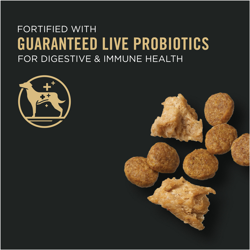 ProPlan Shredded Blend Weight Management Chicken and Rice Small Breed –  Wisconsin Humane Society