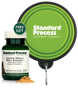 Standard Process Canine Small Bottle Promo