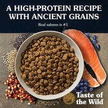 Load image into Gallery viewer, Taste of the Wild Ancient Stream with Ancient Grains Dry Dog Food