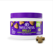 Load image into Gallery viewer, Wellness Pumpkin Patch Flavored Soft Chew Digestive Health Supplements for Dogs