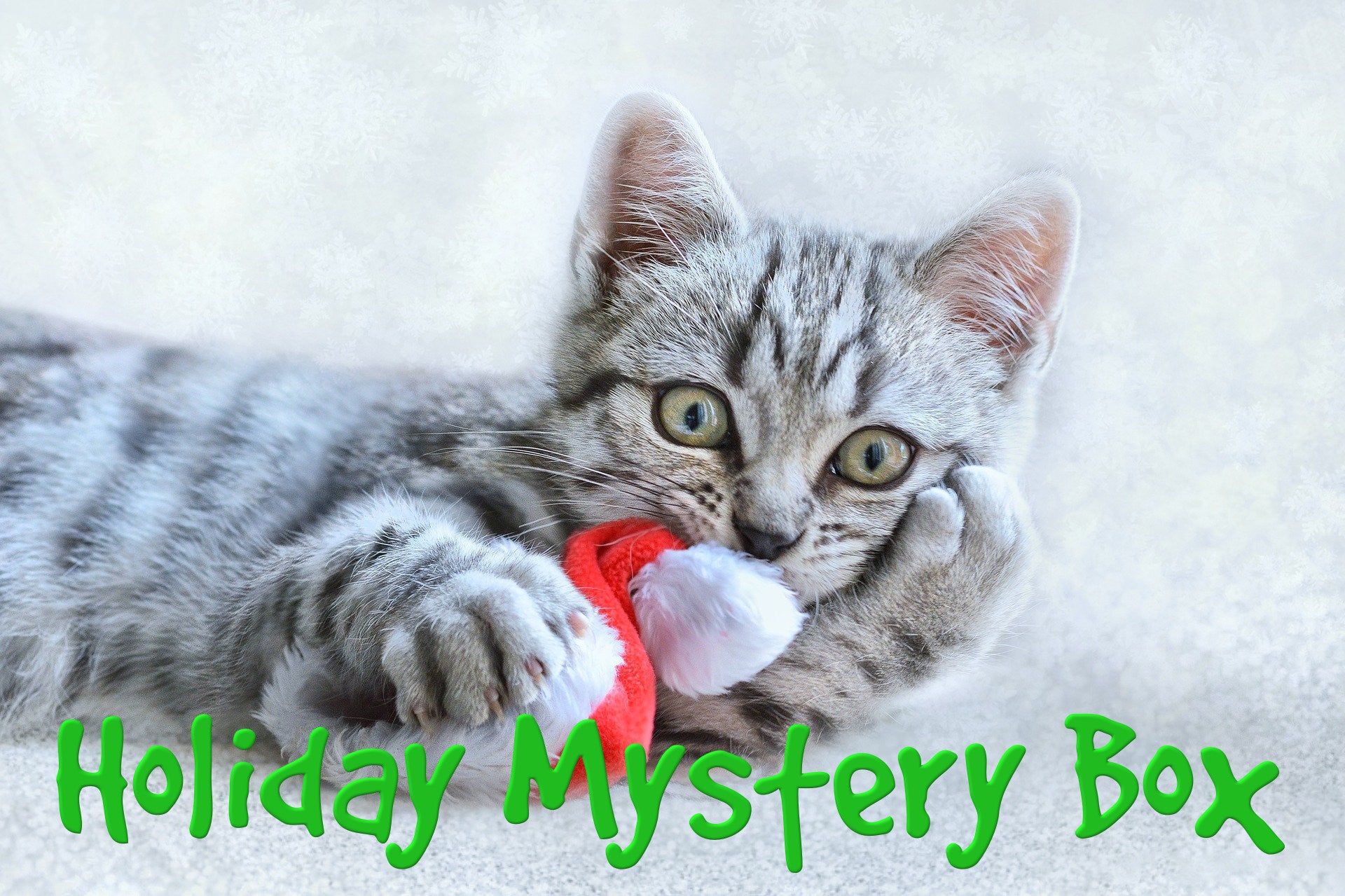 Holiday Mystery Box for Cats – Wisconsin Humane Society