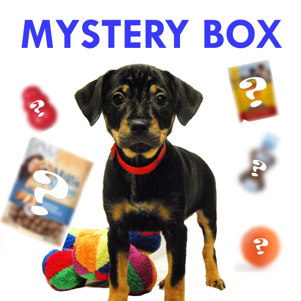 Mystery Box for Dogs – Wisconsin Humane Society