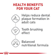 Load image into Gallery viewer, Royal Canin Feline Care Nutrition Dental Care Dry Cat Food