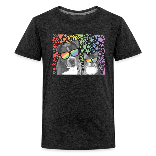 Pride Party Kids' Premium T-Shirt - charcoal grey