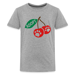 Door County Cherries Kids' Premium T-Shirt - heather gray