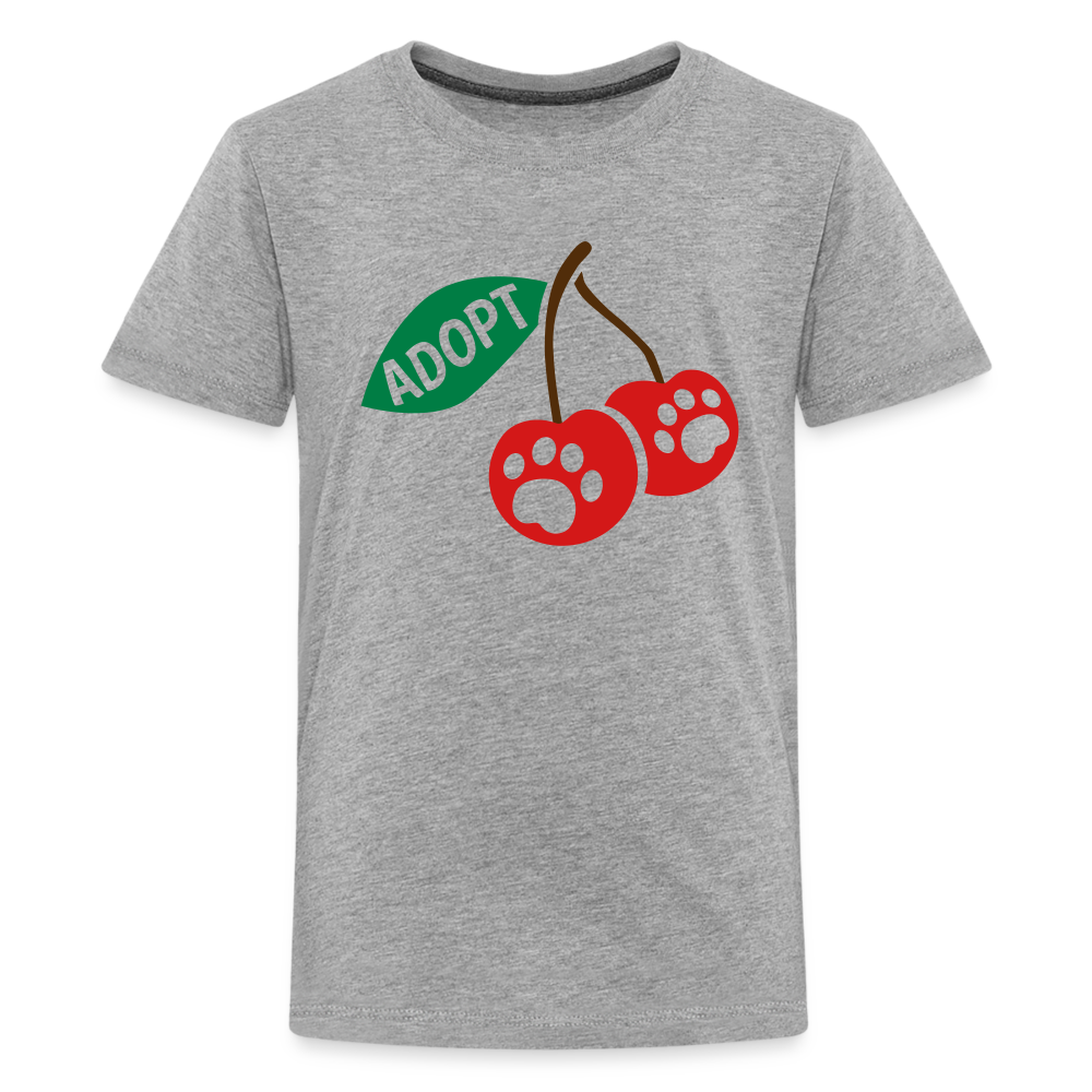 Door County Cherries Kids' Premium T-Shirt - heather gray