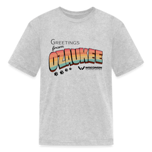 Load image into Gallery viewer, WHS &quot;Greetings from Ozaukee&quot; Kids&#39; T-Shirt - heather gray