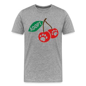 Door County Cherries Classic Premium T-Shirt - heather gray