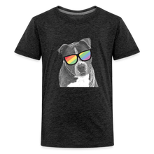 Load image into Gallery viewer, Pride Dog Kids&#39; Premium T-Shirt - charcoal grey