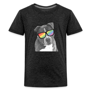 Pride Dog Kids' Premium T-Shirt - charcoal grey