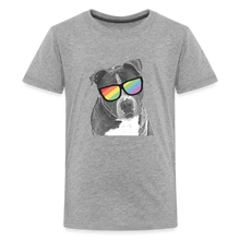 Load image into Gallery viewer, Pride Dog Kids&#39; Premium T-Shirt - heather gray