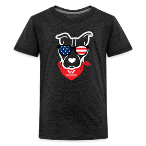 USA Dog Kids' Premium T-Shirt - charcoal grey