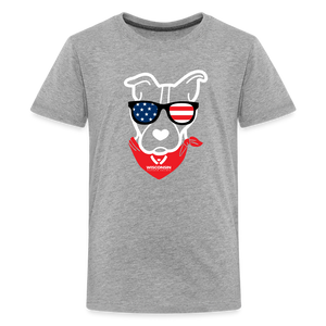 USA Dog Kids' Premium T-Shirt - heather gray