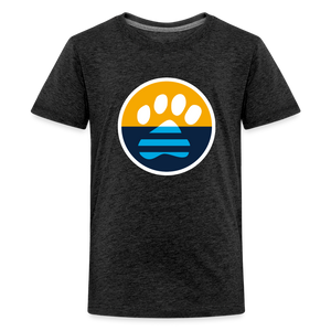 MKE Flag Paw Kids' Premium T-Shirt - charcoal grey