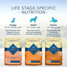 Load image into Gallery viewer, Blue Buffalo Life Protection Formula Large Breed Senior Chicken &amp; Brown Rice Recipe Dry Dog Food