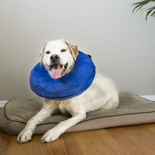 Load image into Gallery viewer, KONG Cloud Collar For Dogs