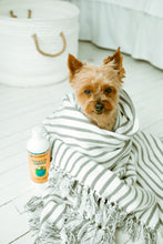 Load image into Gallery viewer, Earthbath Oatmeal and Aloe Shampoo for Dogs and Cats