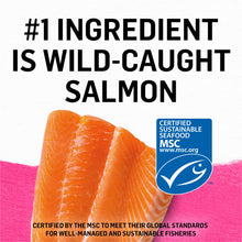 Load image into Gallery viewer, Purina Beyond Grain-Free Wild Salmon Pate Recipe Canned Cat Food