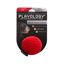 Load image into Gallery viewer, Playology Plush Ball Beef Scented Dog Toy