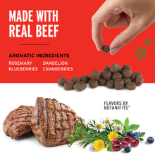 Load image into Gallery viewer, Pet Botanics Training Rewards Soft &amp; Chewy Beef Dog Treats