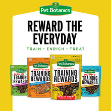 Load image into Gallery viewer, Pet Botanics Training Rewards Soft &amp; Chewy Beef Dog Treats