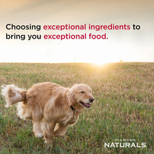 Load image into Gallery viewer, Diamond Naturals Skin &amp; Coat Formula All Life Stages Dry Dog Food