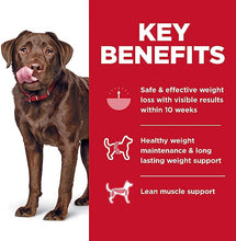Load image into Gallery viewer, Hill&#39;s Science Diet Adult Perfect Weight Large Breed Dry Dog Food