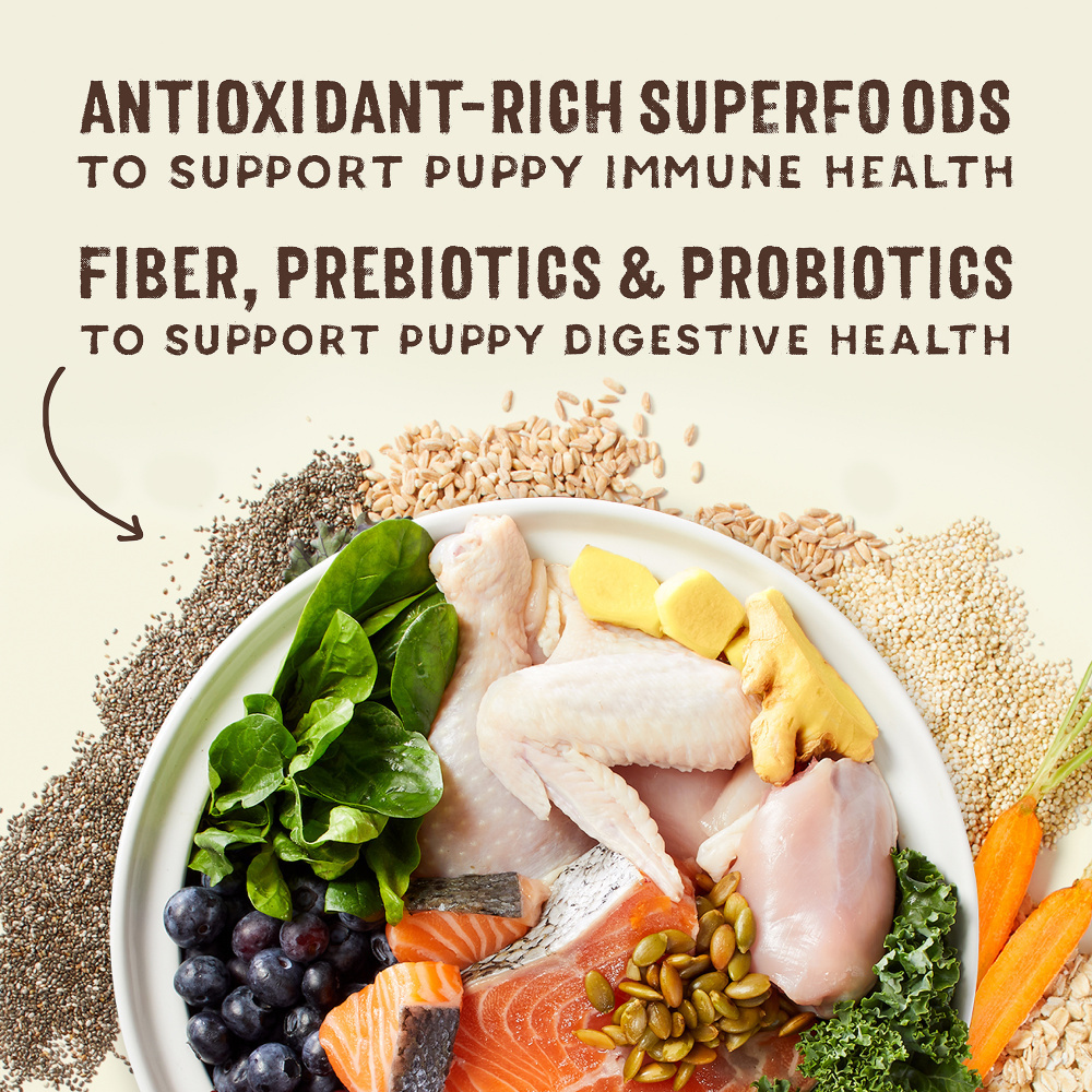 
                  
                    Stella & Chewy's SuperBlends Raw Coated Wholesome Grains Puppy Cage Free Chicken & Wild Caught Salmon Recipe with Superfoods
                  
                