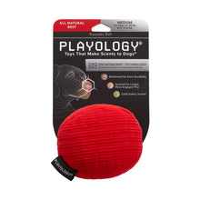 Load image into Gallery viewer, Playology Plush Ball Beef Scented Dog Toy