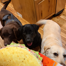 Load image into Gallery viewer, Doggijuana Get the Munchies Taco