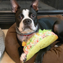 Load image into Gallery viewer, Doggijuana Get the Munchies Taco