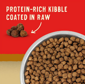 Stella & Chewy's Wild Red Dry Dog Food Raw Coated High Protein Wholesome Grains Puppy Prairie Recipe