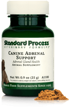 Load image into Gallery viewer, Canine Adrenal Support, 25 g