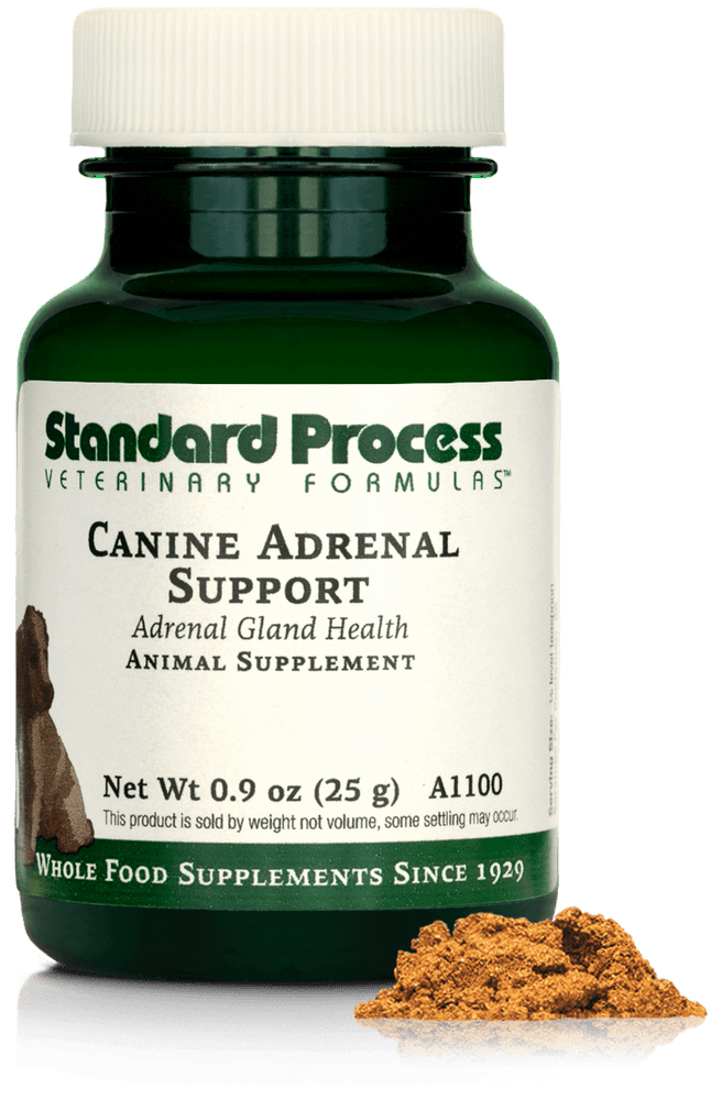 
                  
                    Canine Adrenal Support, 25 g
                  
                