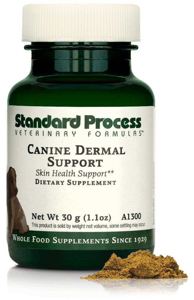 
                  
                    Canine Dermal Support, 30 g
                  
                