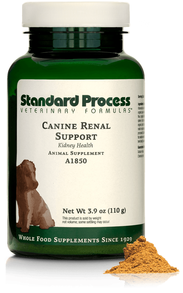 
                  
                    Canine Renal Support, 110 g
                  
                