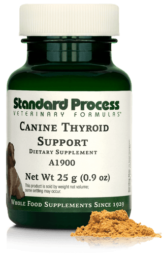 Canine Thyroid Support, 25 g