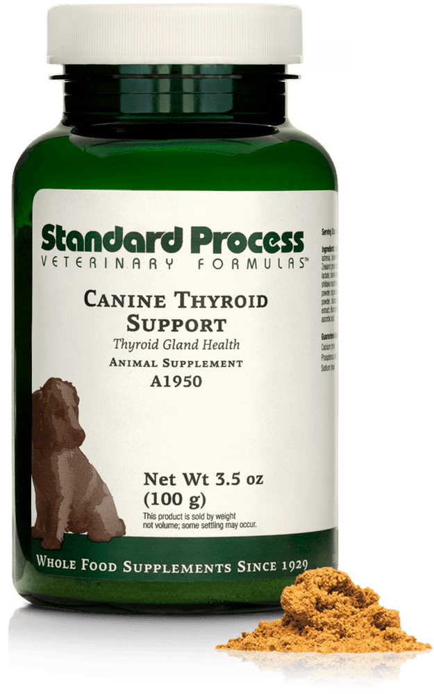 
                  
                    Canine Thyroid Support, 100 g
                  
                