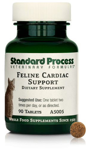 Feline Cardiac Support, 90 Tablets
