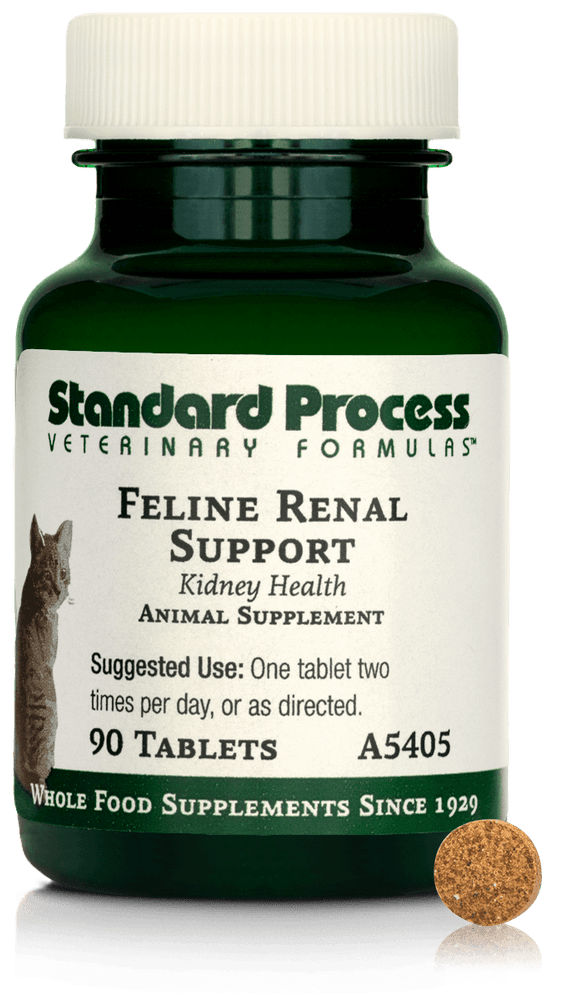 
                  
                    Feline Renal Support, 90 Tablets
                  
                