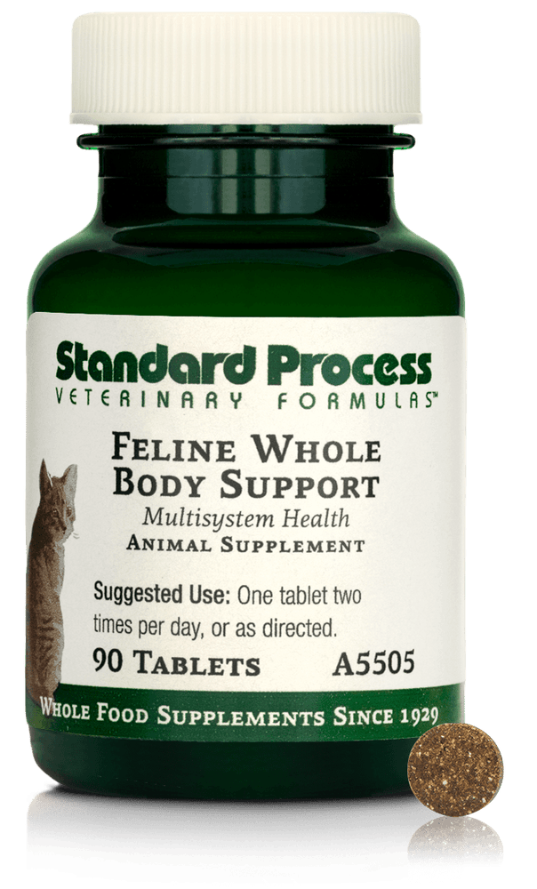 
                  
                    Feline Whole Body Support, 90 tablets
                  
                