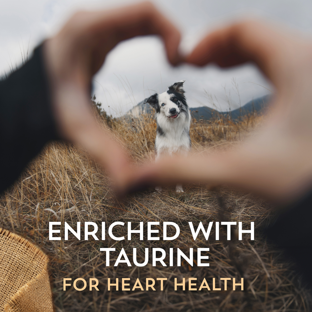 
                  
                    Wholesomes Grain Free Beef Meal & Potatoes Recipe Dry Dog Food
                  
                