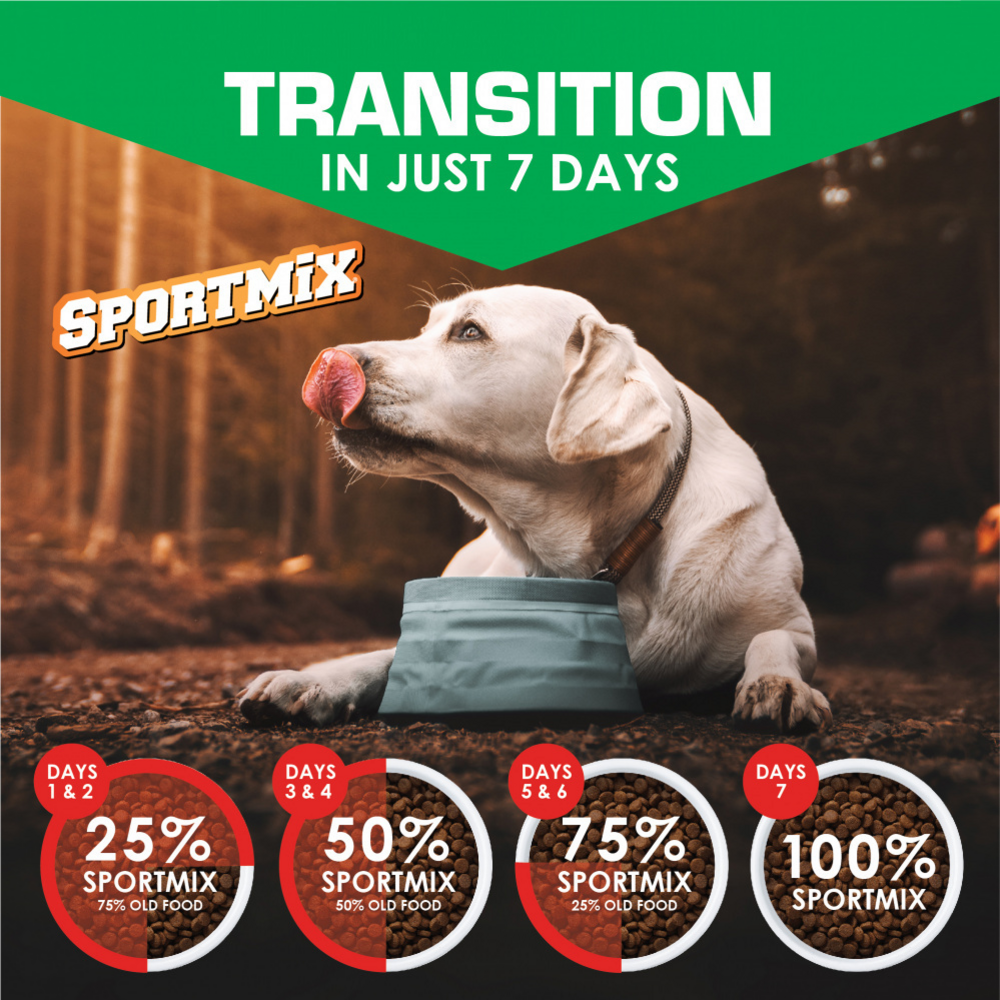 
                  
                    SPORTMiX Premium Adult Maintenance Dry Dog Food
                  
                