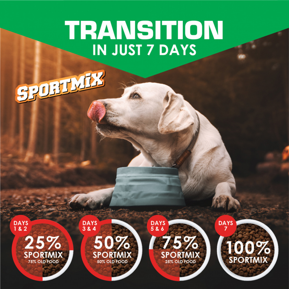 
                  
                    Sportmix Premium Adult Maintenance Dry Dog Food
                  
                