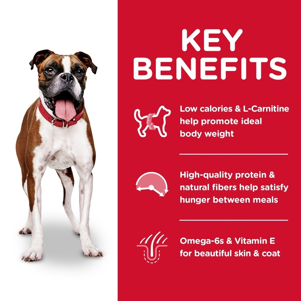 
                  
                    Hill's Science Diet Adult Light with Chicken Meal & Barley Dry Dog Food
                  
                