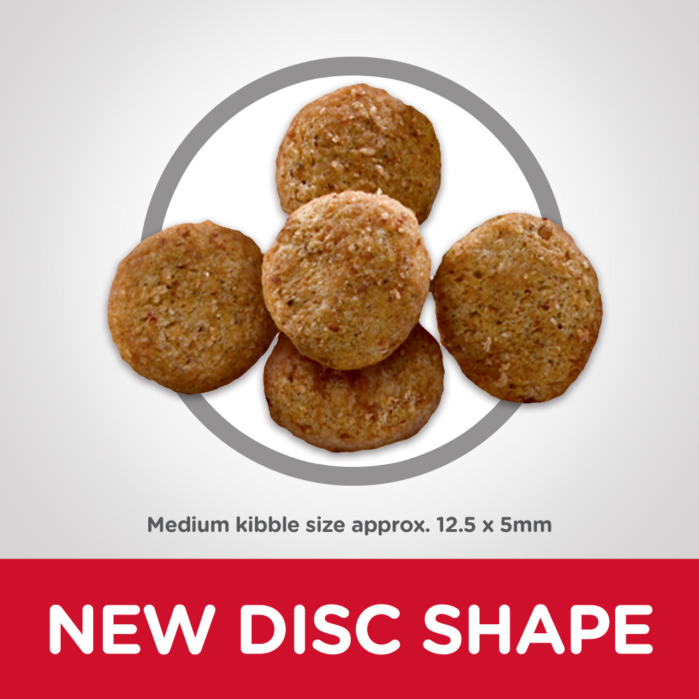 
                  
                    Hill's Science Diet Adult Light with Chicken Meal & Barley Dry Dog Food
                  
                