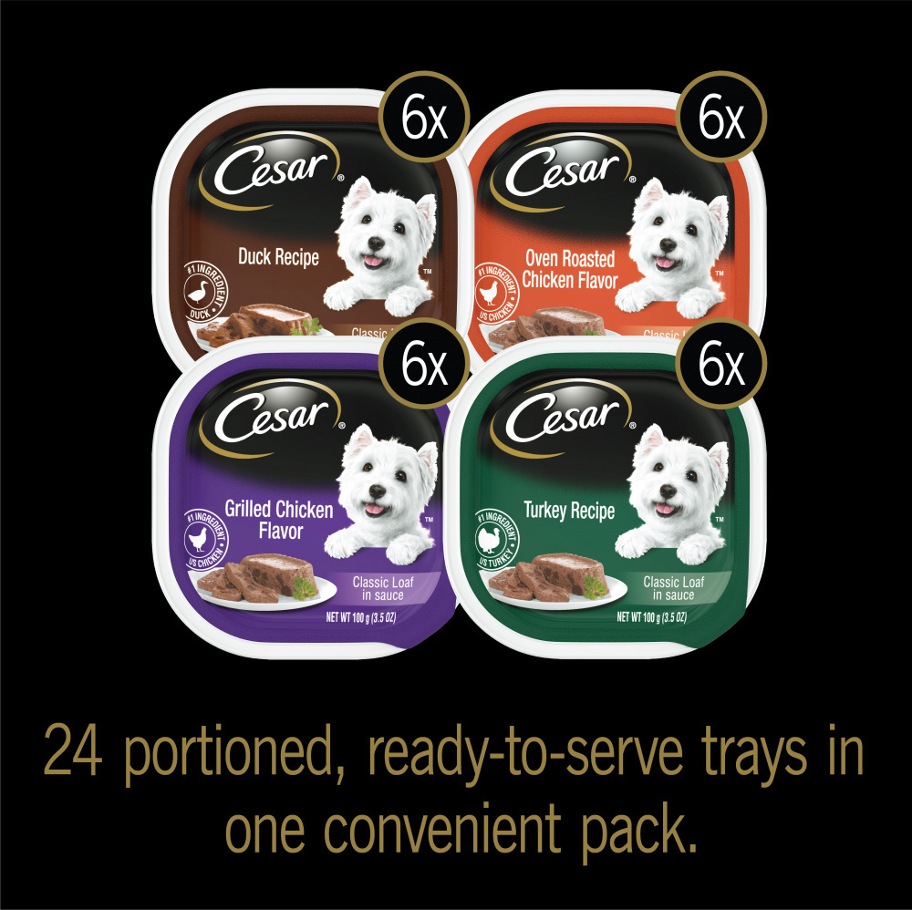 
                  
                    Cesar Soft Classic Loaf In Sauce Poultry With Real Chicken, Turkey Or Duck Wet Dog Food Variety Pack
                  
                