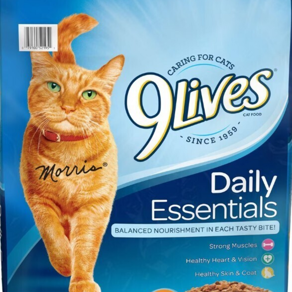 9 Lives Daily Essentials Formula Dry Cat Food